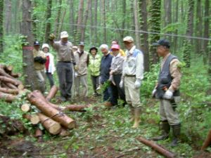 �X����̗l�q